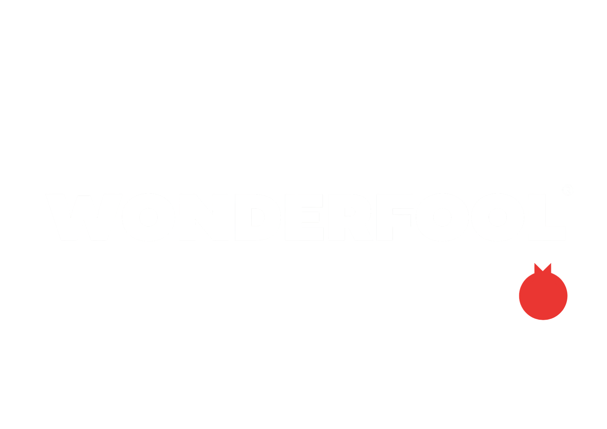 Wonderfool